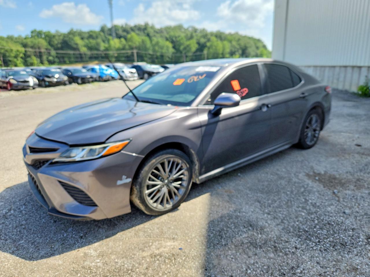 2020 Toyota Camry SE, VIN 4T1G11AK8LU884103 — Biohazard / chemical