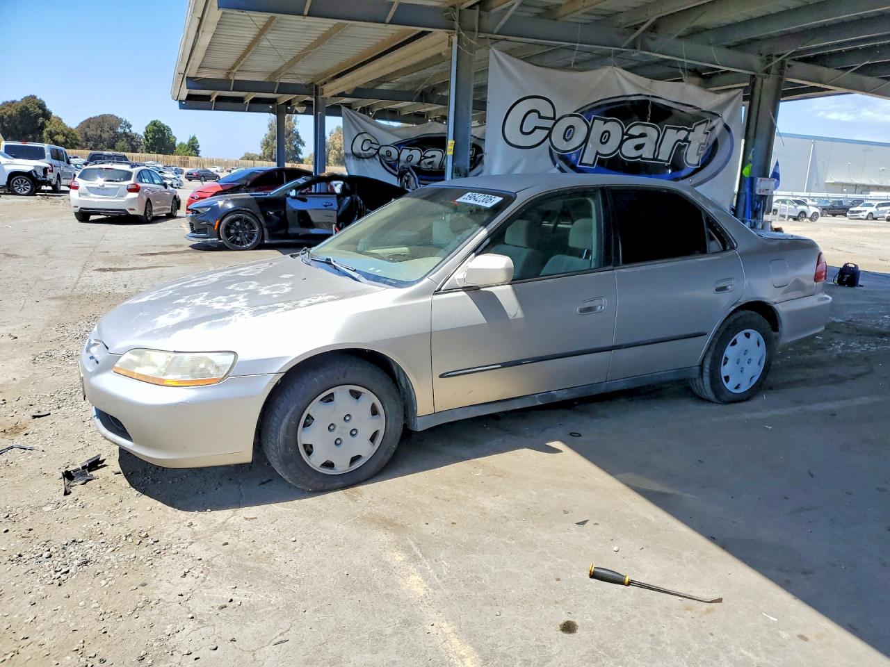 1999 Honda Accord LX, VIN JHMCG6656XC012577 — Мелкие вмятины и царапины