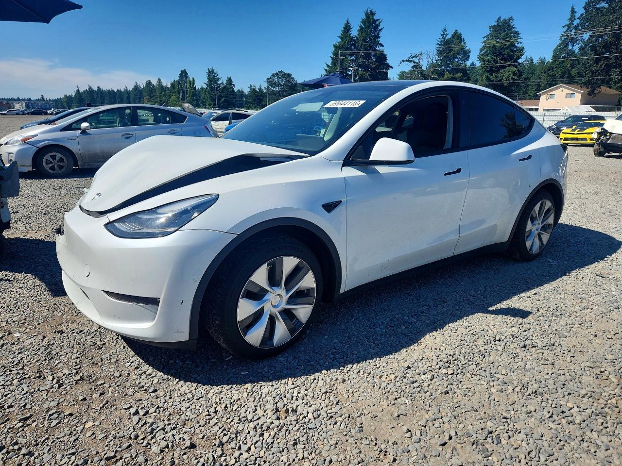 2021 Tesla Model Y Long Range, VIN 5YJYGDEE4MF204169 — Front end