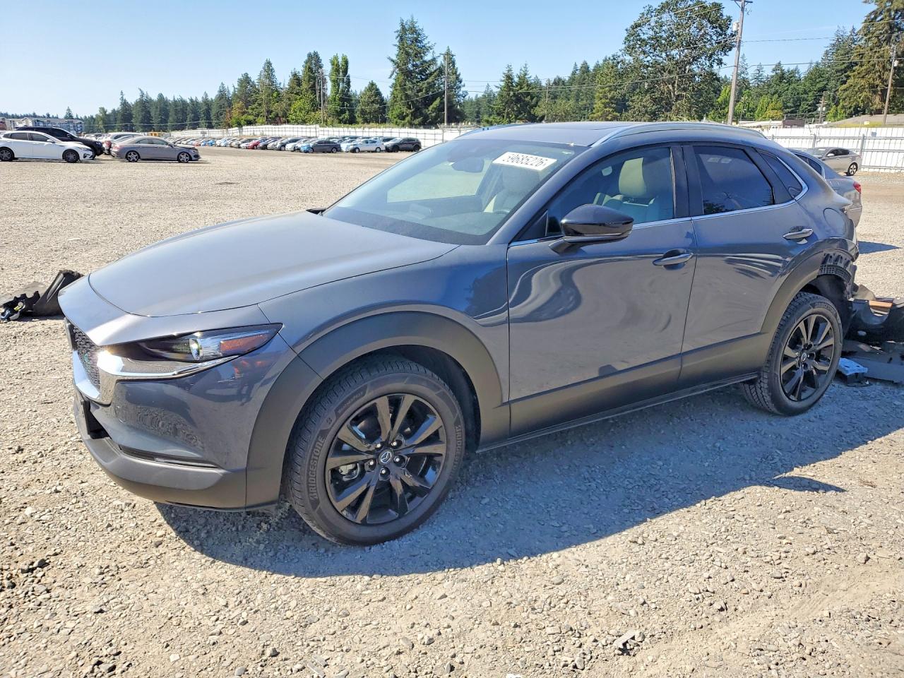 2021 Mazda CX-30 Turbo, VIN 3MVDMBAY0MM243220 — Rear end
