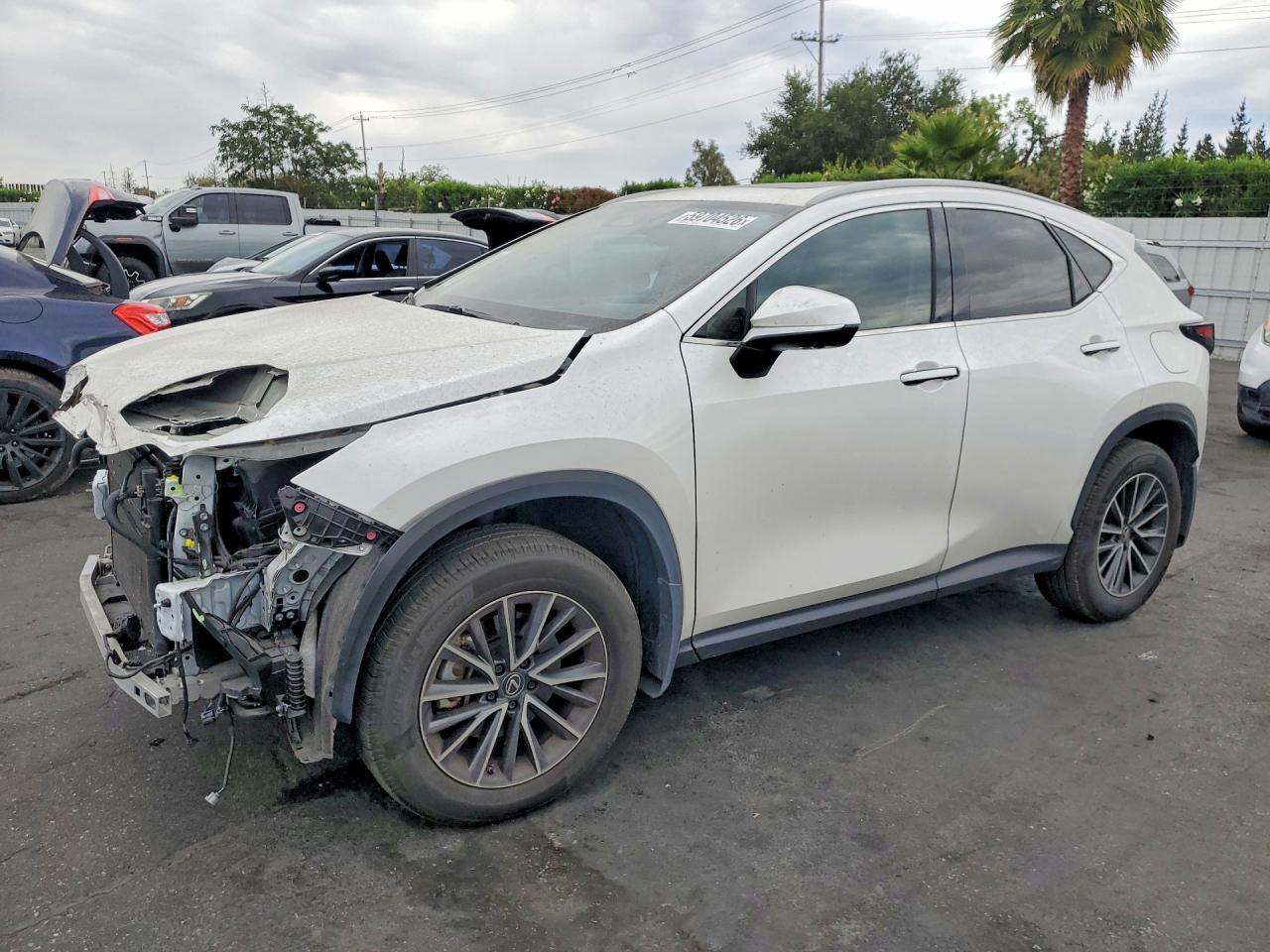 2024 Lexus NX 350h Premium, VIN JTJGKCEZ5R5011896 — Перед