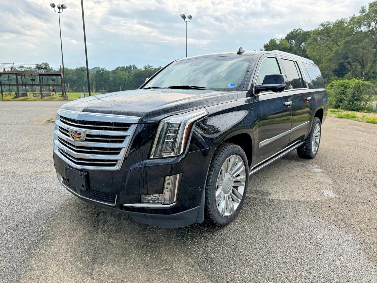 2020 Cadillac Escalade ESV Platinum, VIN 1GYS4KKJ2LR110640 — Normal wear