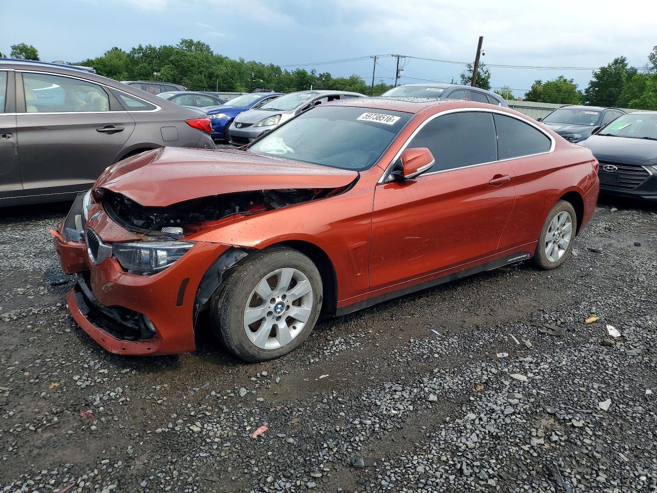 2019 BMW 4 Series 430i xDrive, VIN WBA4W5C53KAE50856 — Перед