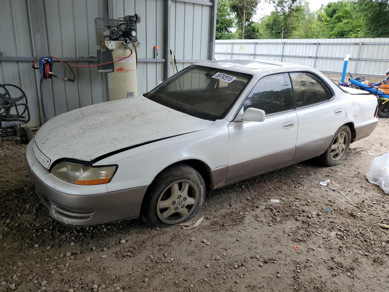1996 Lexus ES 300, VIN JT8BF12G9T0142664 — Зад