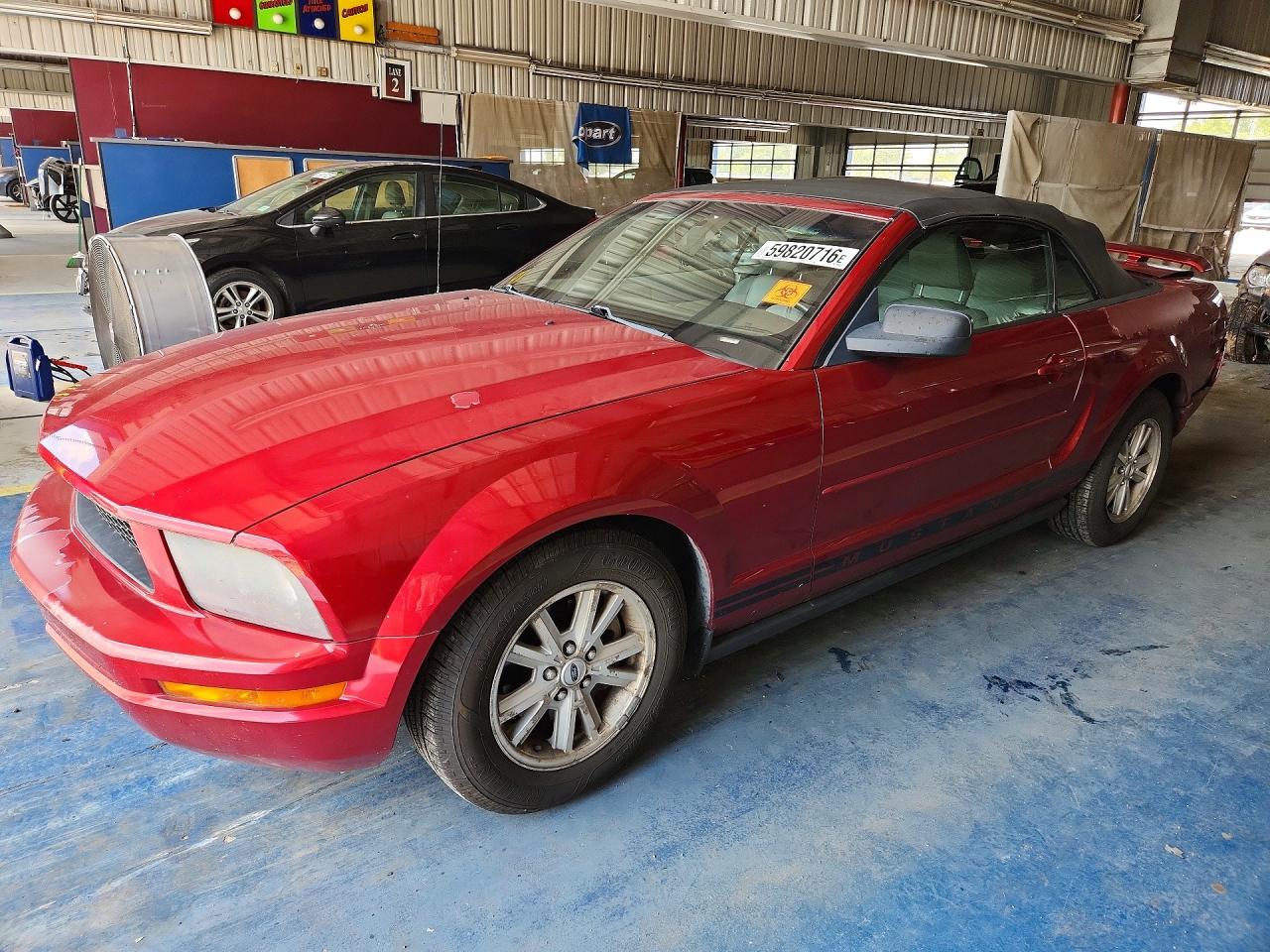 2006 Ford Mustang Standard, VIN 1ZVFT84N065224819 — Rear end