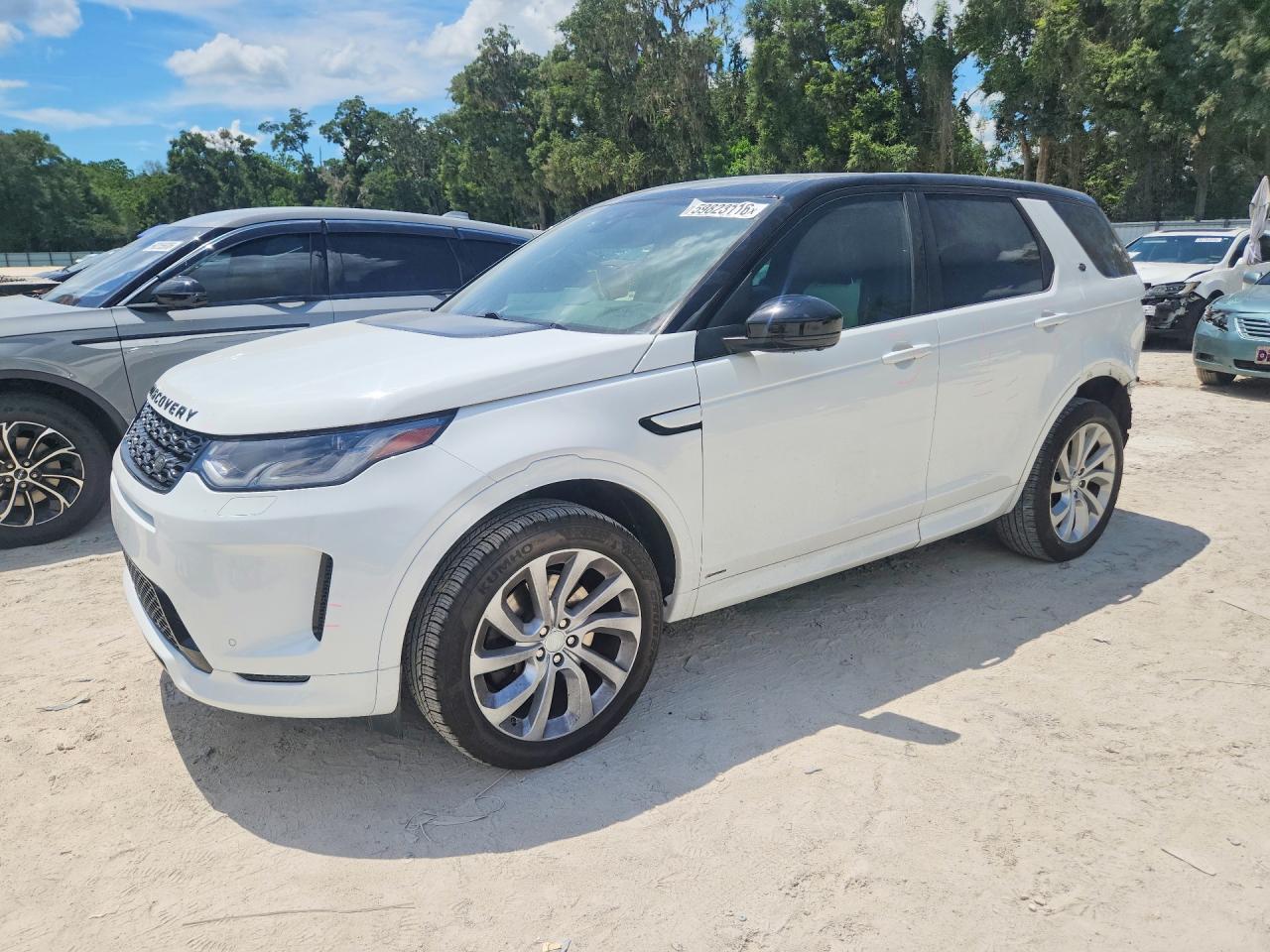 2020 Land Rover Discovery Sport S R-Dynamic, VIN SALCT2FX5LH853724 — Rear end