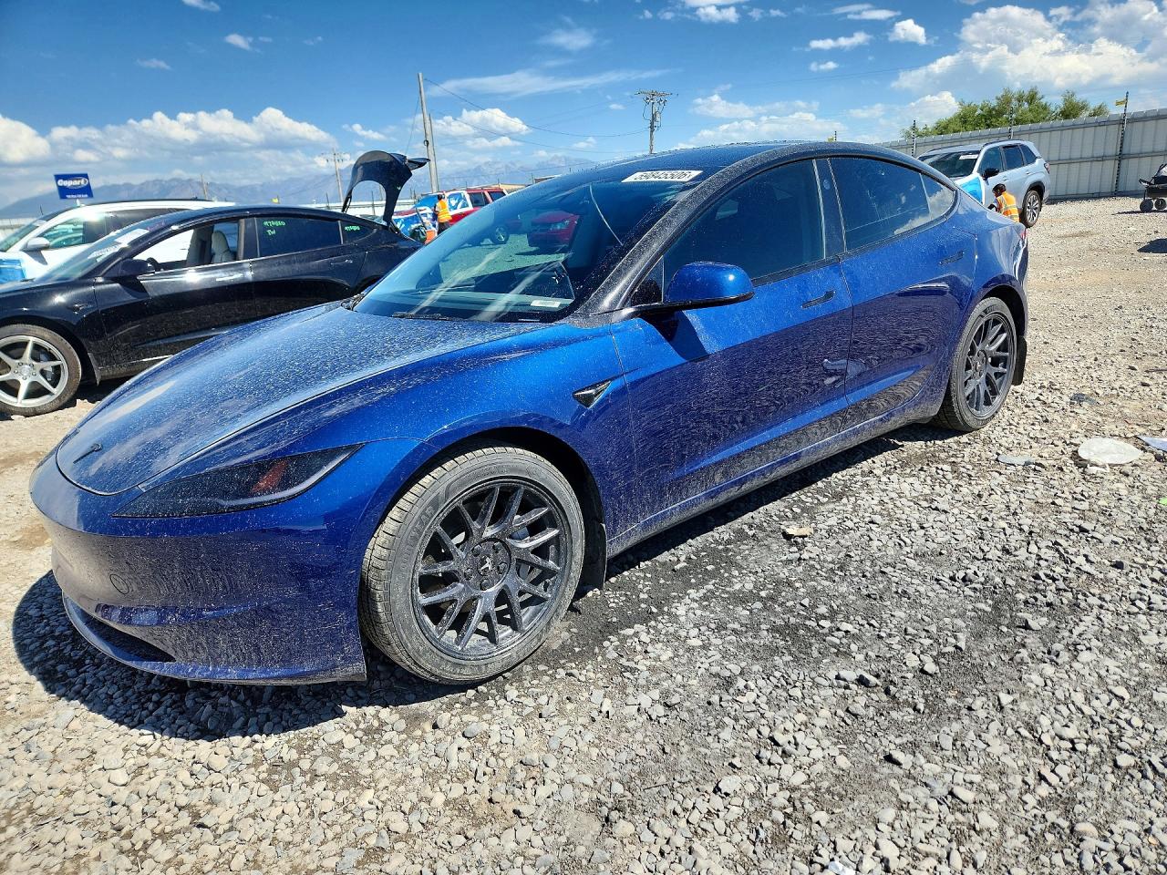 2024 Tesla Model 3 Long Range, VIN 5YJ3E1EB3RF809490 — Днище