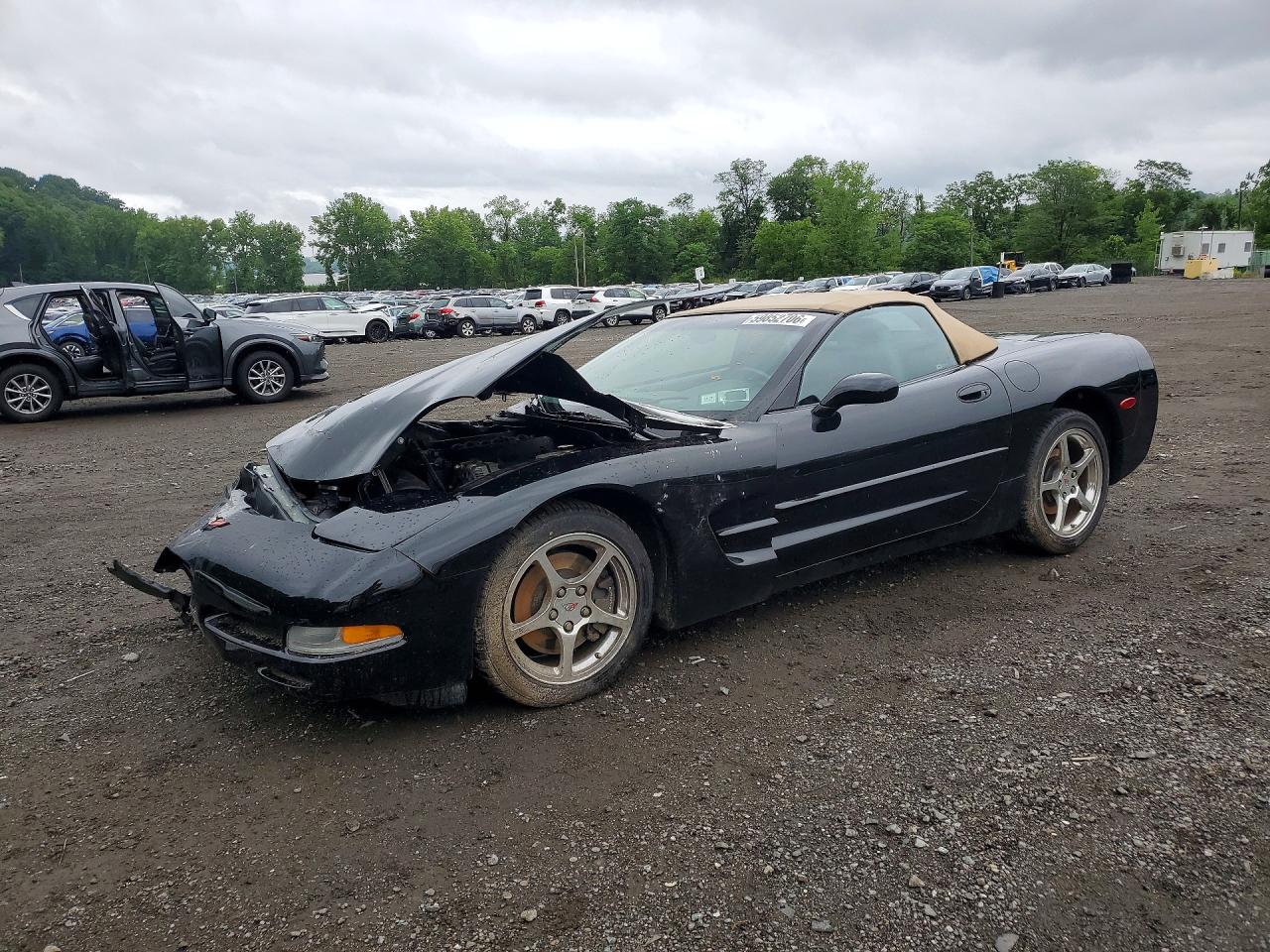 2002 Chevrolet Corvette, VIN 1G1YY32G125111761 — Front end