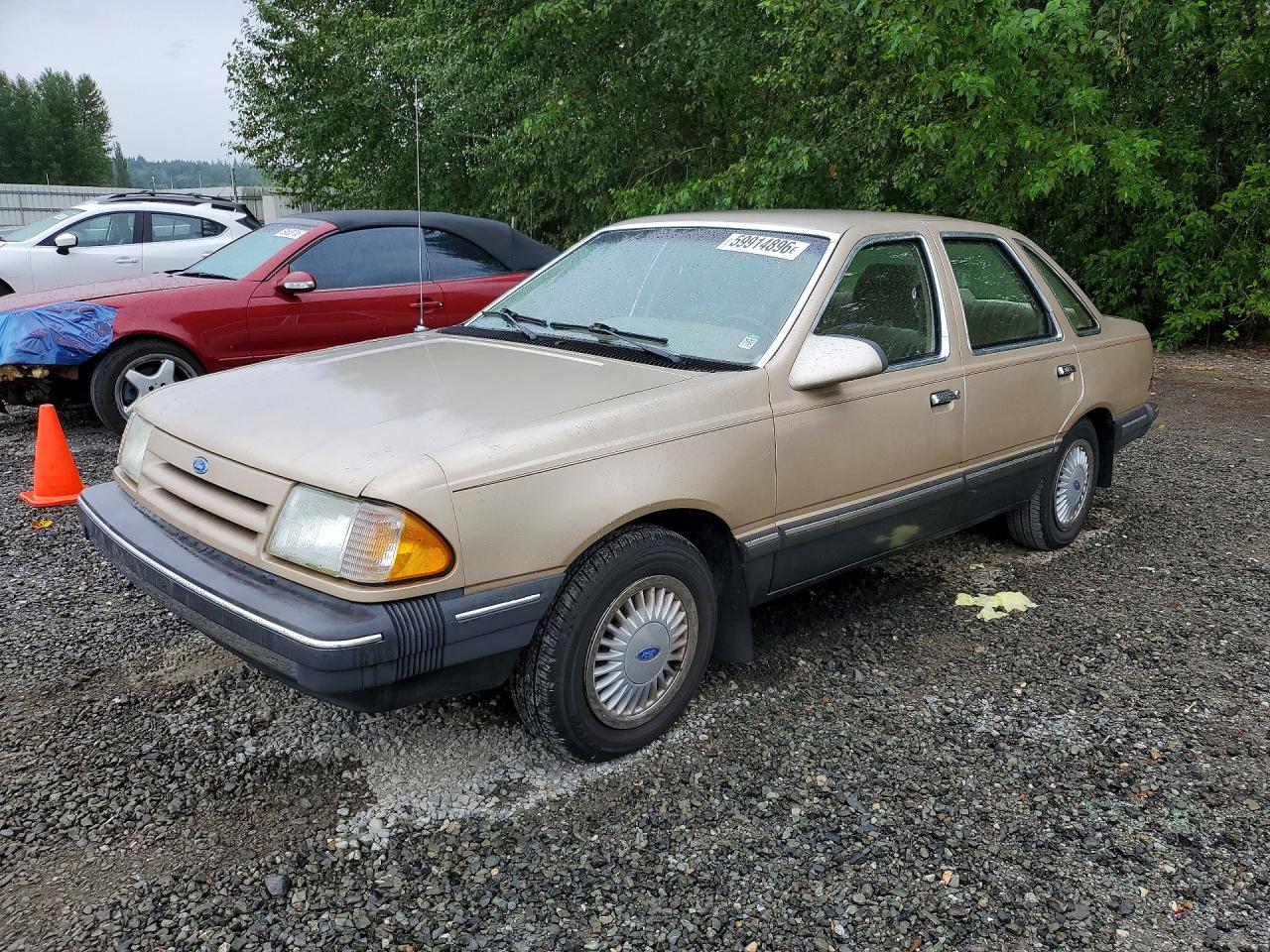 1987 Ford Tempo, VIN 1FABP39S2HK251909 — Rear end