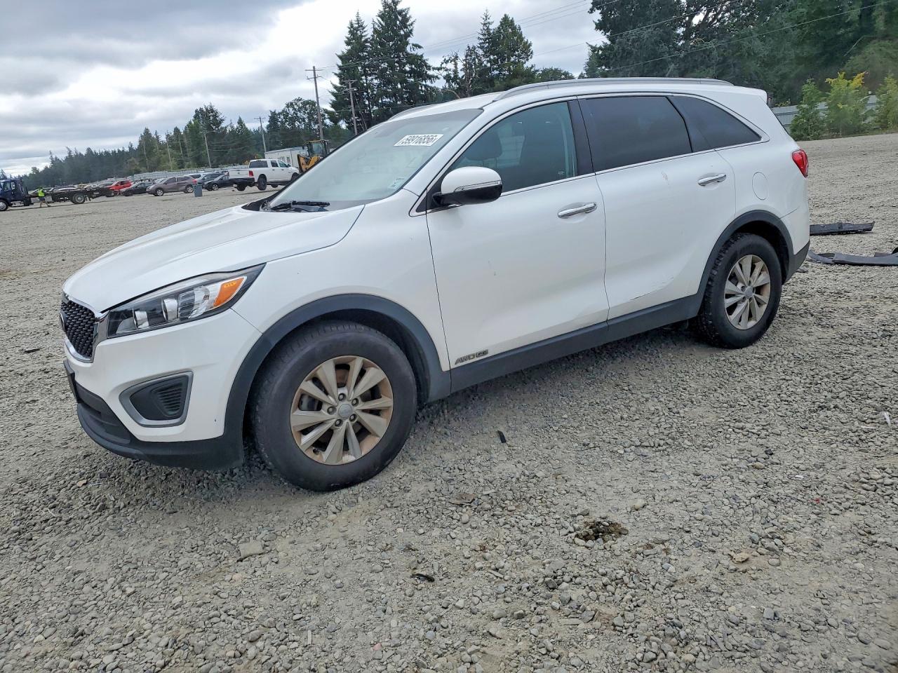 2017 Kia Sorento LX, VIN 5XYPGDA56HG196141 — Side