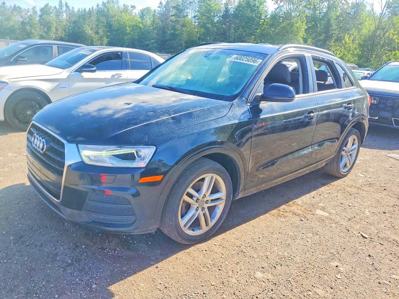 2017 Audi Q3 Premium, VIN WA1ECCFS2HR004348 — Vandalism