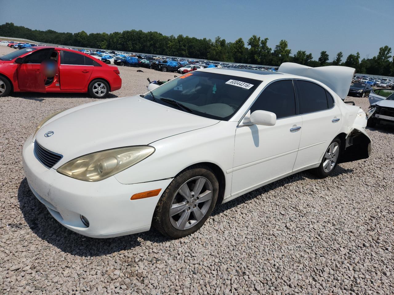 2005 Lexus ES 350, VIN JTHBA30G855111294 — Зад