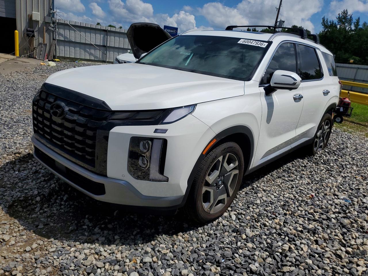 2024 Hyundai Palisade Limited, VIN KM8R54GEXRU761220 — Rear end