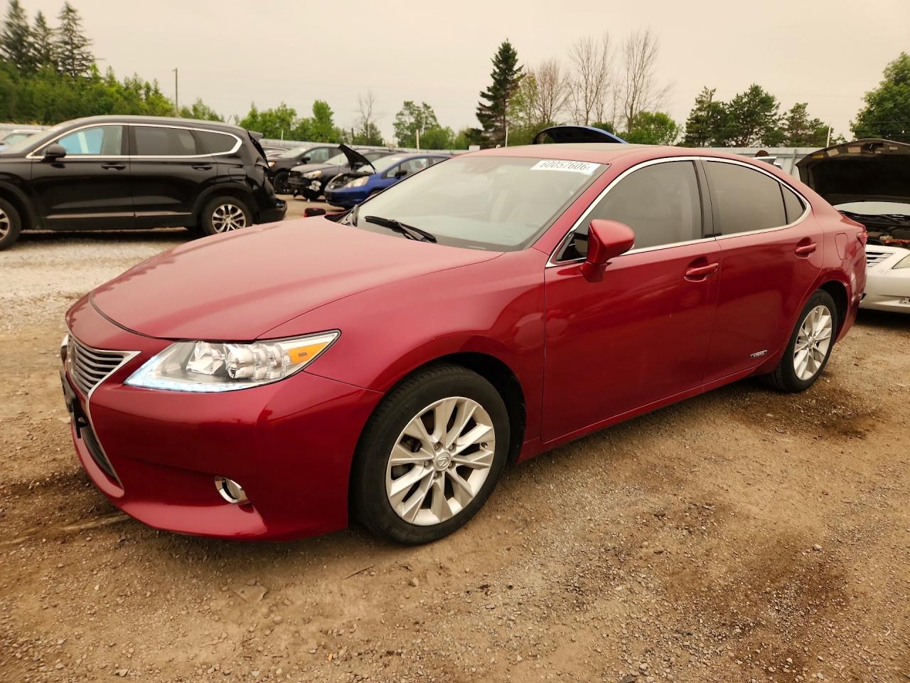 2013 Lexus ES 300h, VIN JTHBW1GG2D2002681 — Перед