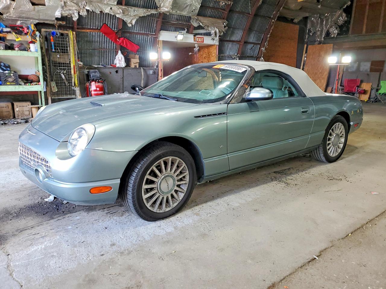 2004 Ford Thunderbird Pacific Coast Roadster, VIN 1FAHP63A04Y108072 — Биологическое загрязнение