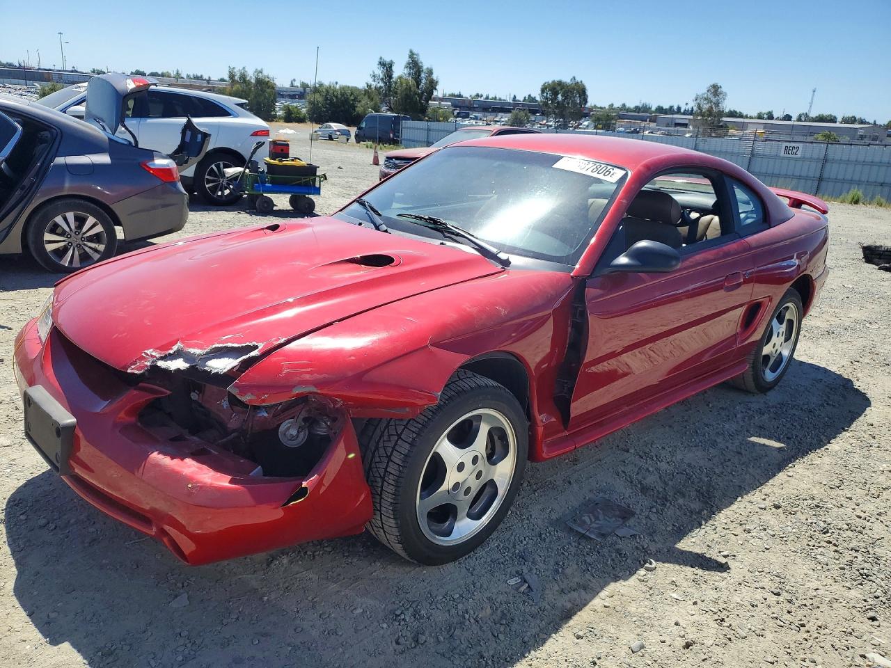 1996 Ford Mustang Cobra, VIN 1FALP47V1TF134444 — Front end