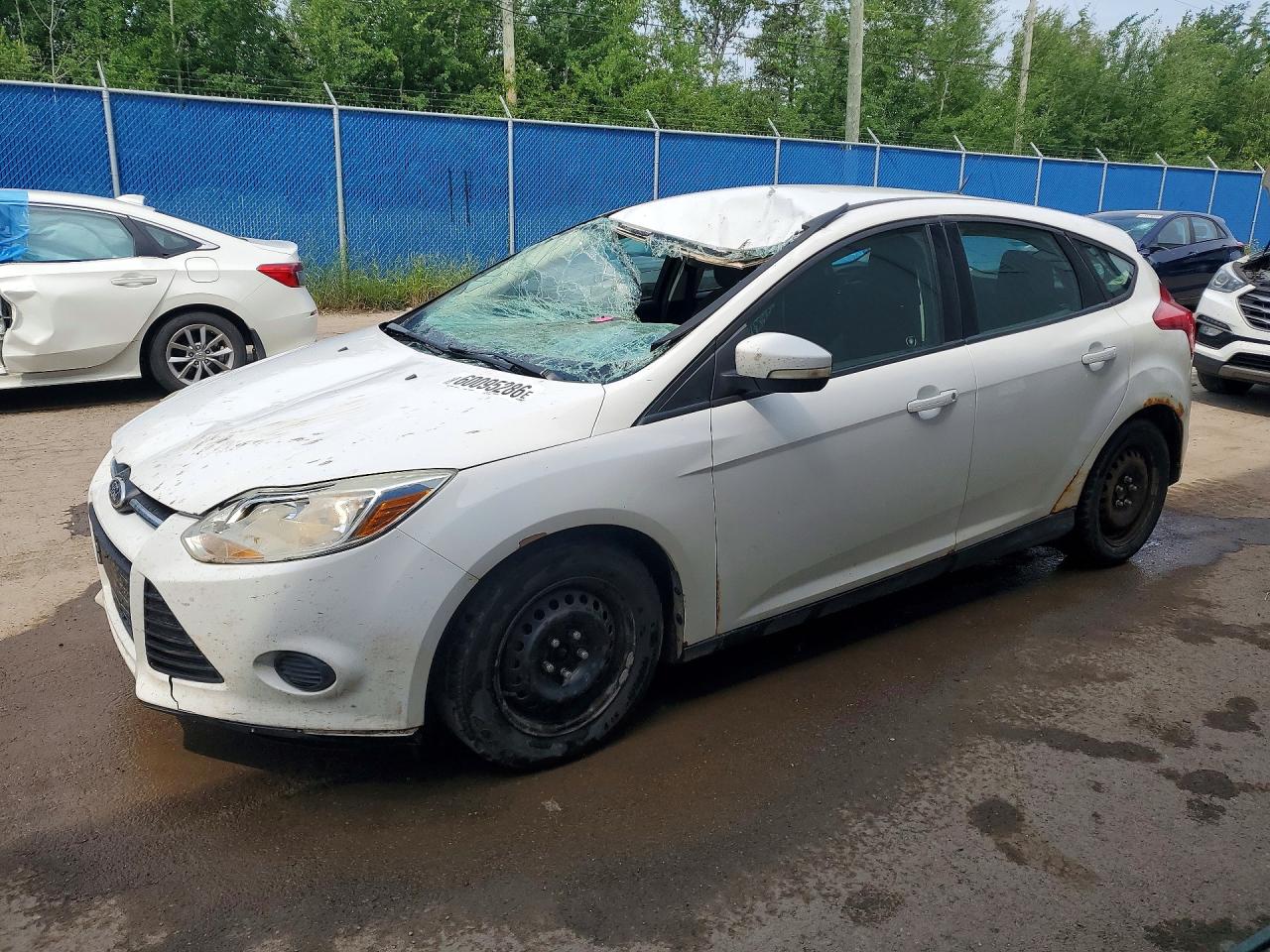 2013 Ford Focus SE, VIN 1FADP3K24DL147199 — Крыша