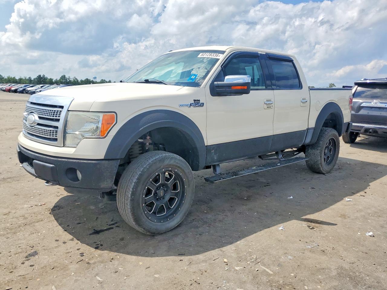 2009 Ford F-150 XL, VIN 1FTPW14V09FA34152 — Мелкие вмятины и царапины