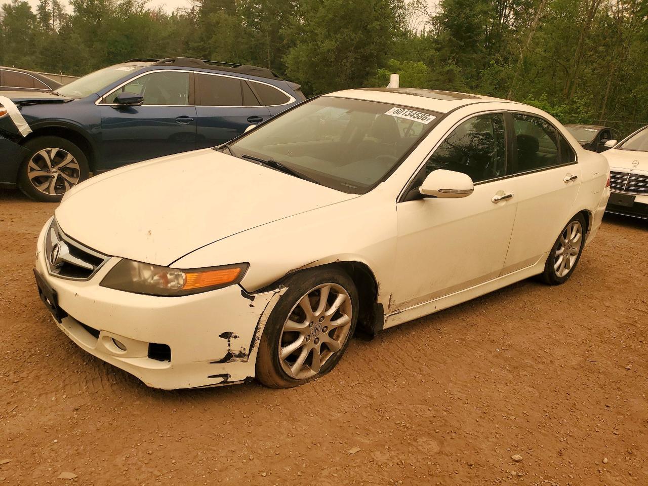 2006 Acura TSX, VIN JH4CL96876C801472 — Front end