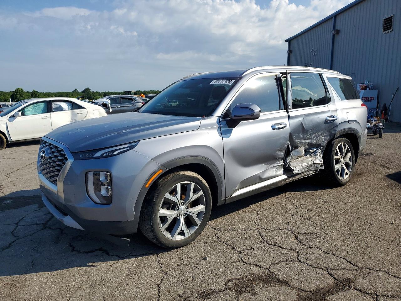 2020 Hyundai Palisade SEL, VIN KM8R3DHE1LU041106 — Side