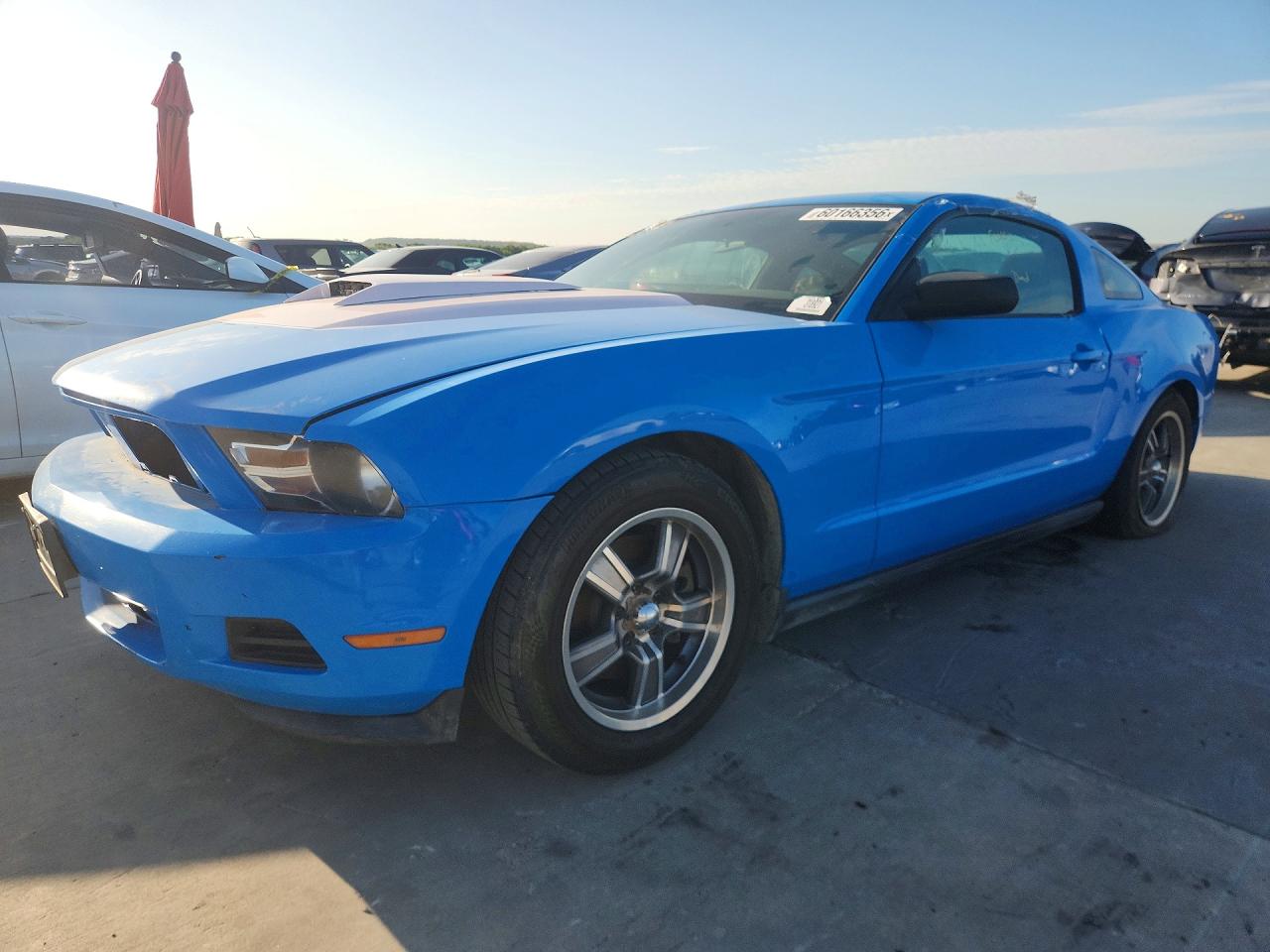 2011 Ford Mustang Premium, VIN 1ZVBP8AM7B5126282 — Зад