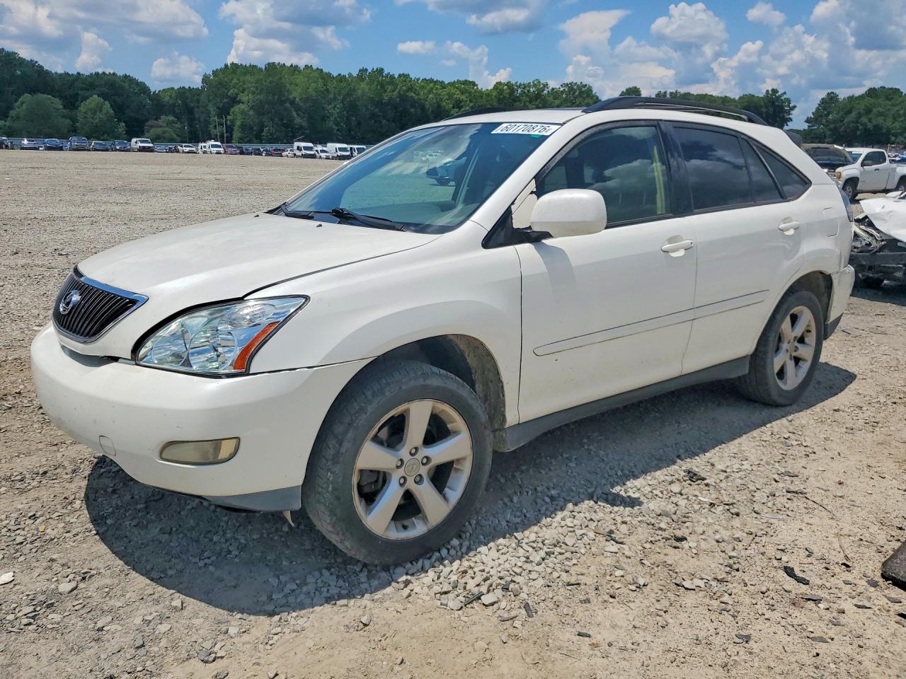 2004 Lexus RX 330, VIN JTJGA31U040015132 — Front end