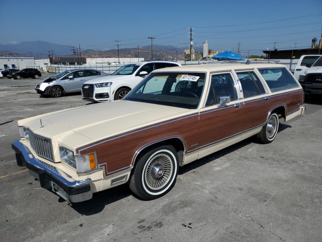 1984 Mercury Grand Marquis, VIN 1MEBP94F0EZ634563 — Мелкие вмятины и царапины