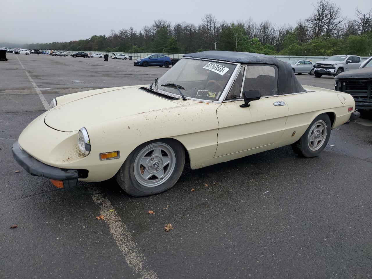 1982 Alfa Romeo Spider Veloce, VIN ZARBA5411C1015682 — Minor dents and scratches