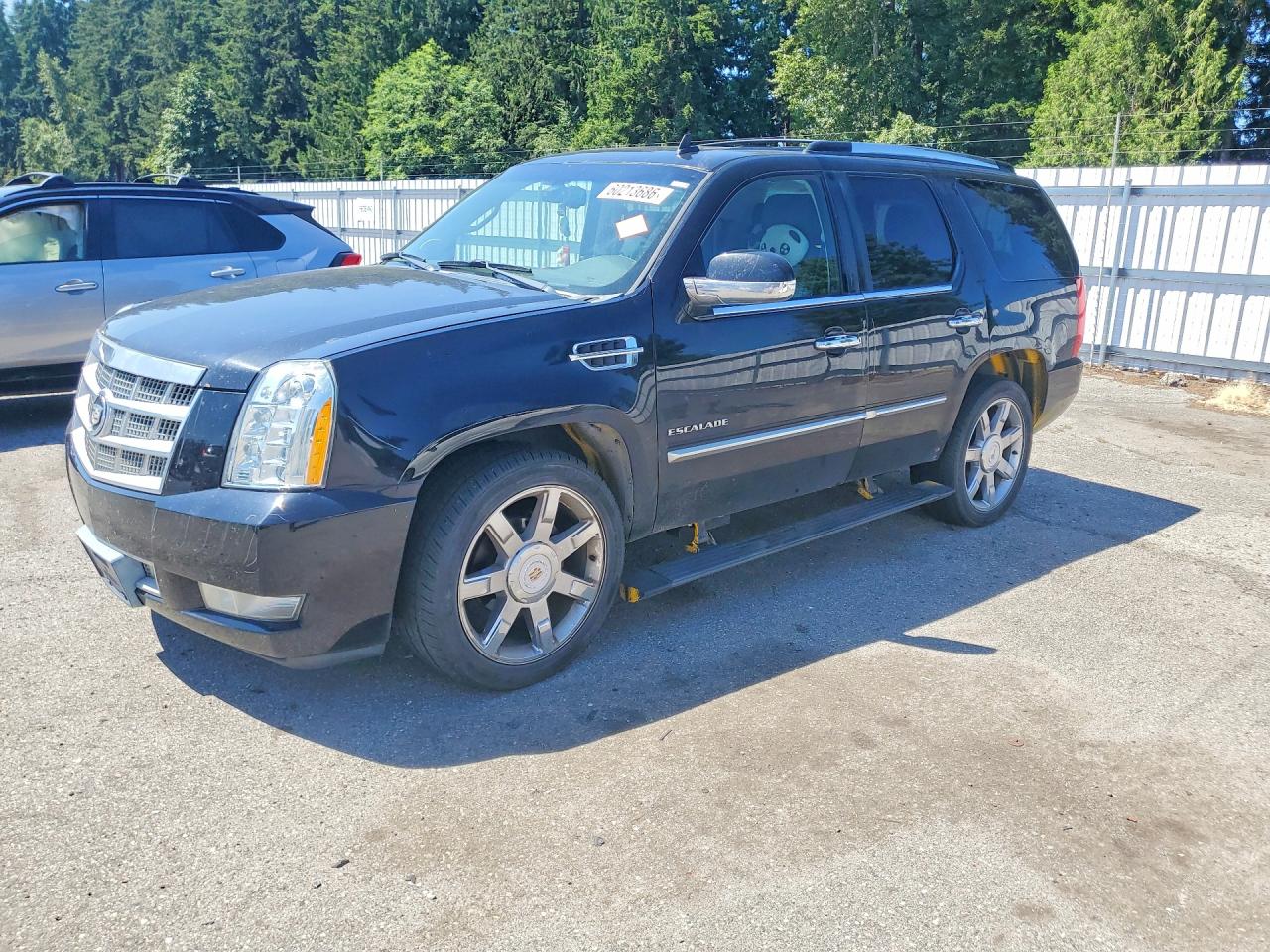 2012 Cadillac Escalade Platinum Edition, VIN 1GYS4DEF3CR100458 — Rear end