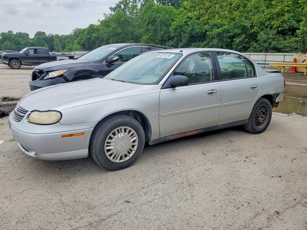 2005 Chevrolet Malibu Classic, VIN 1G1ND52F65M119656 — Rear end
