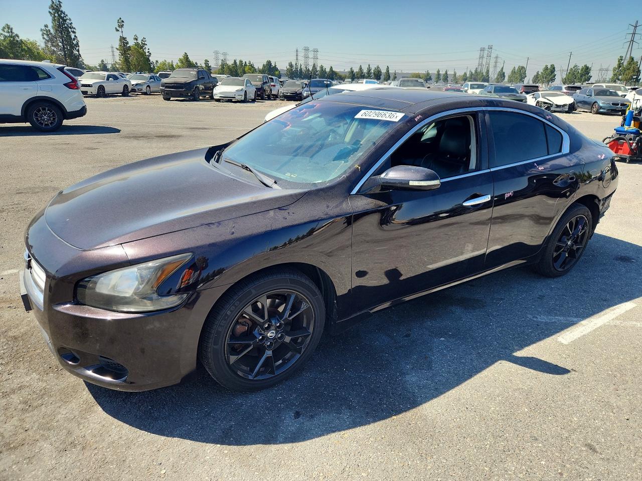 2012 Nissan Maxima SV, VIN 1N4AA5AP2CC811270 — Зад
