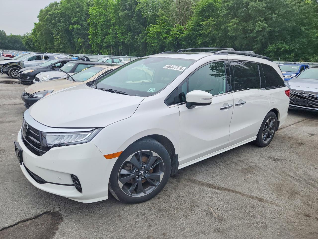 2023 Honda Odyssey Elite, VIN 5FNRL6H97PB067503 — Vandalism