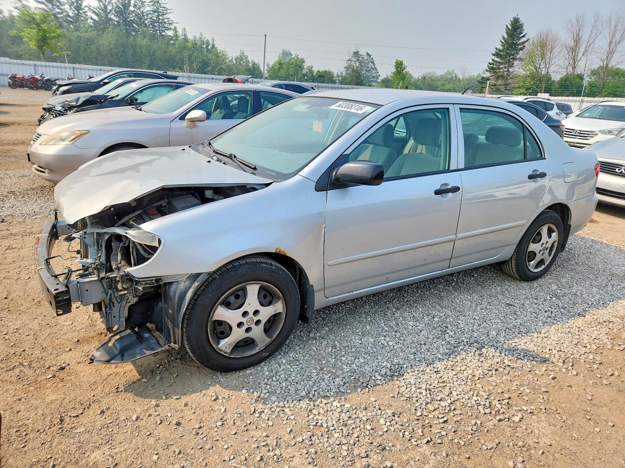 2008 Toyota Corolla LE, VIN 2T1BR32E28C857365 — Front end