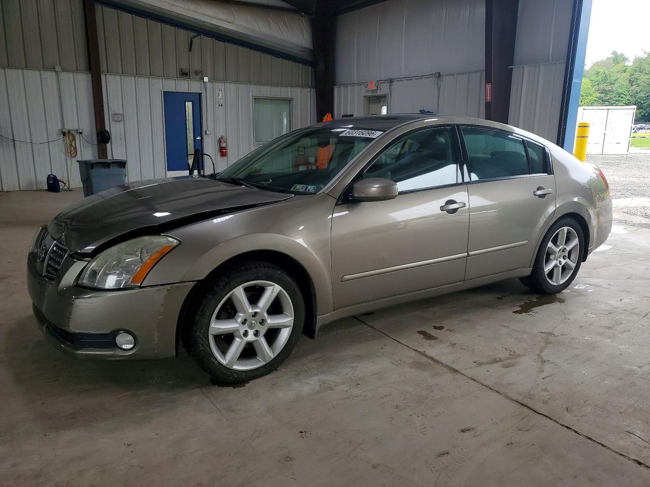 2005 Nissan Maxima SL, VIN 1N4BA41E95C832875 — Front end