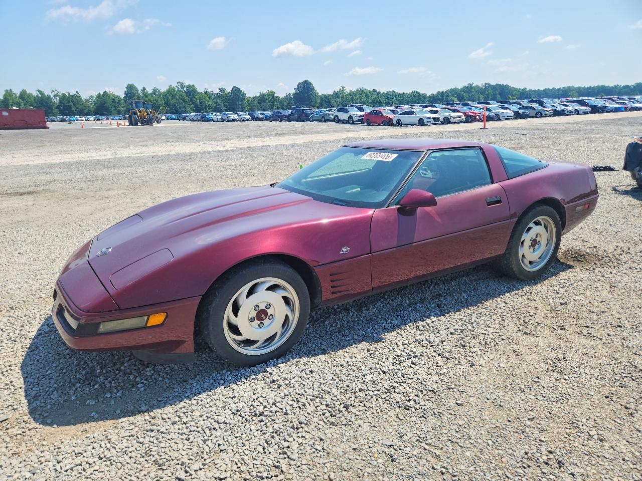 1993 Chevrolet Corvette, VIN 1G1YY23P0P5101853 — Minor dents and scratches