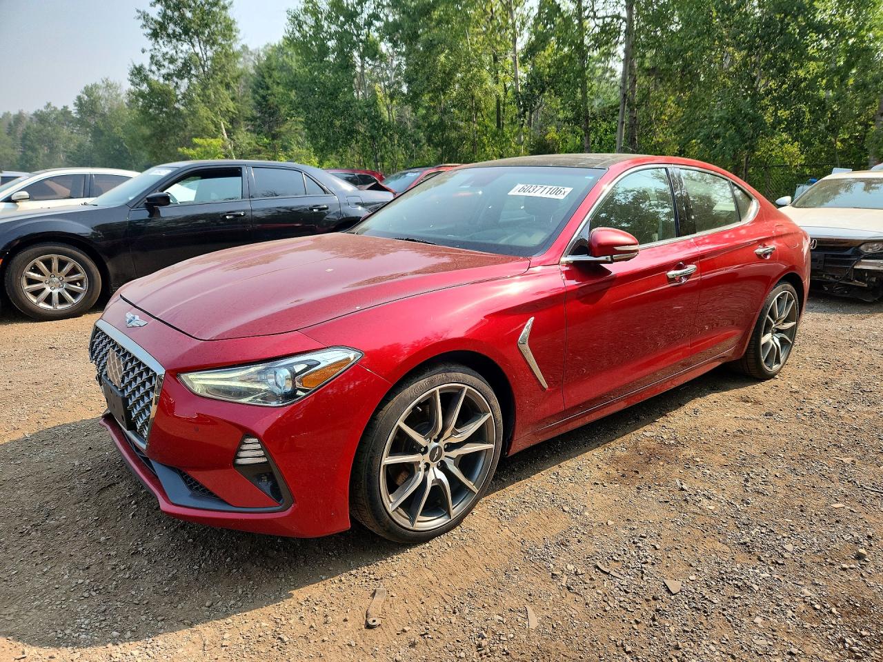 2019 Genesis G70 Advanced, VIN KMTG44LA4KU011904 — Rear end