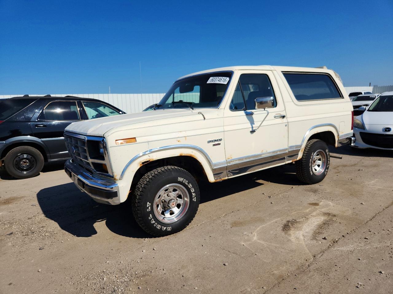 1983 Ford Bronco, VIN 1FMEU15G9DLA48294 — Rear end