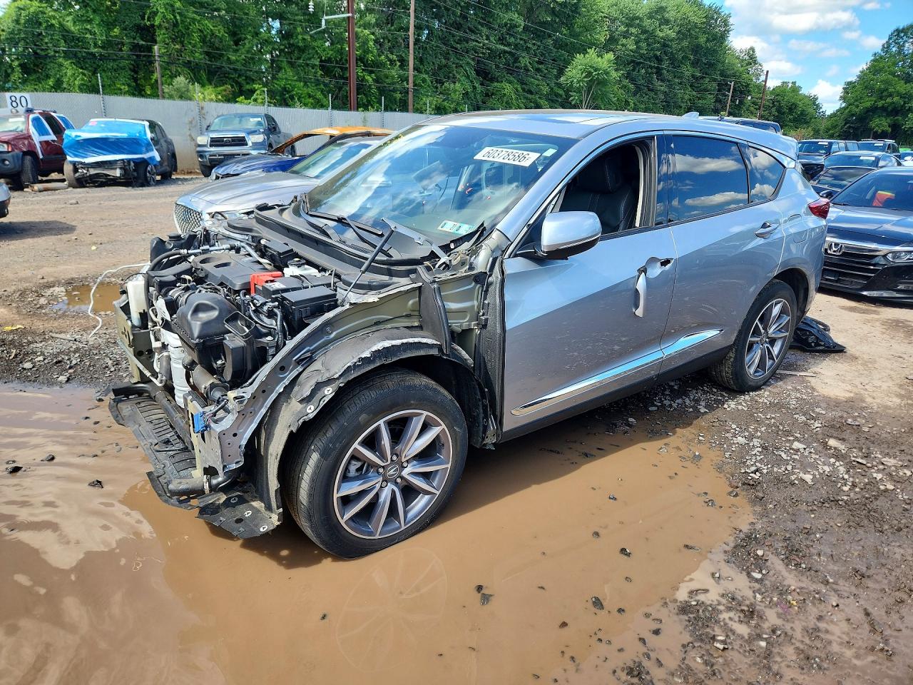 2023 Acura RDX Technology, VIN 5J8TC2H51PL002849 — All over