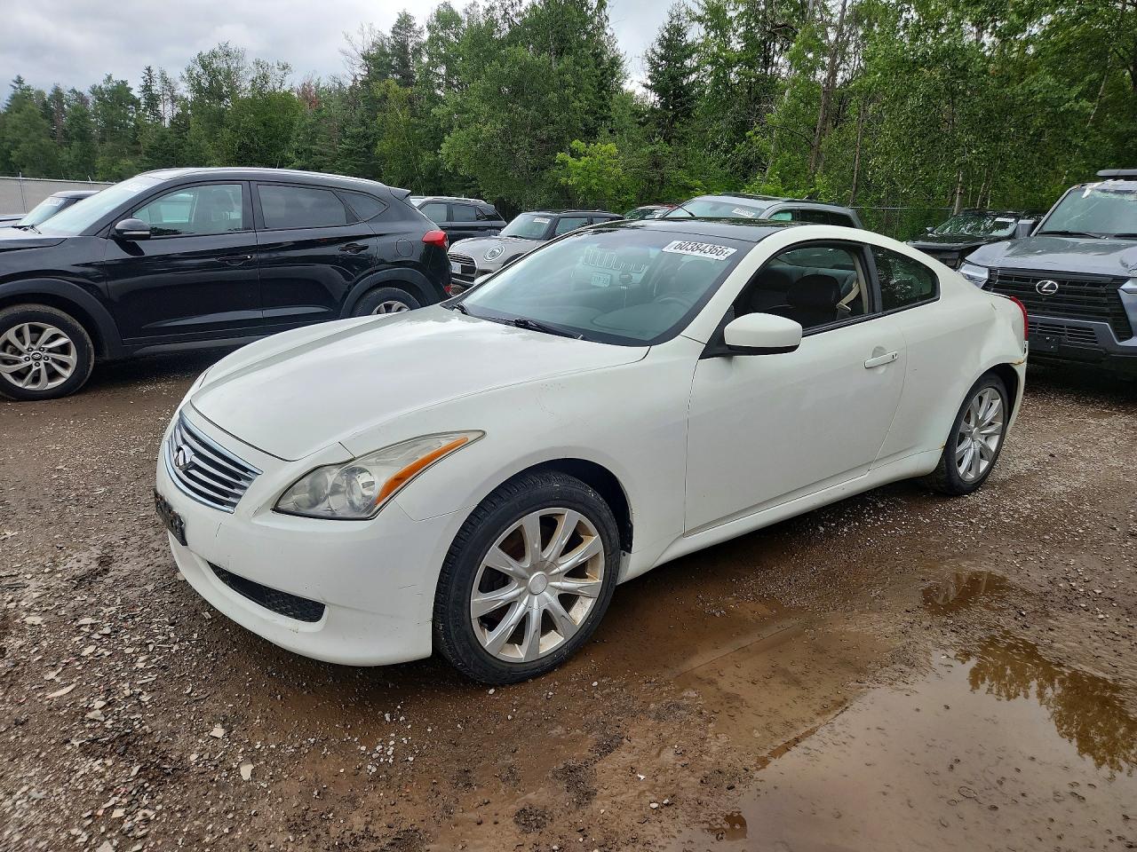 2010 Infiniti G37 x, VIN JN1CV6EL0AM150479 — Зад