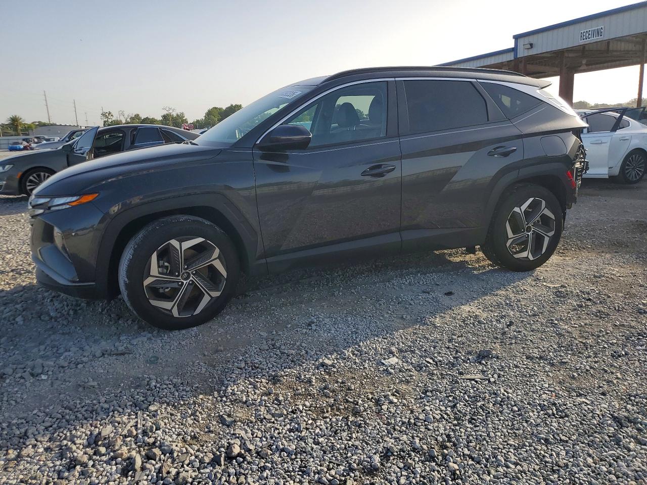 2023 Hyundai Tucson SEL, VIN 5NMJF3AE4PH211145 — Зад