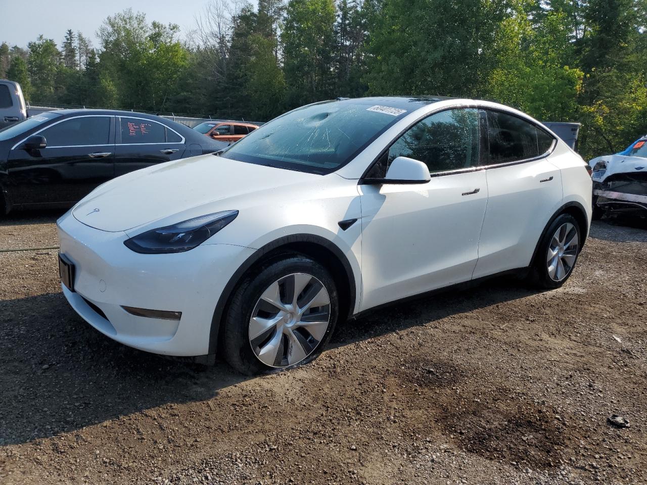 2023 Tesla Model Y Long Range, VIN 7SAYGDEE0PF629685 — Vandalism