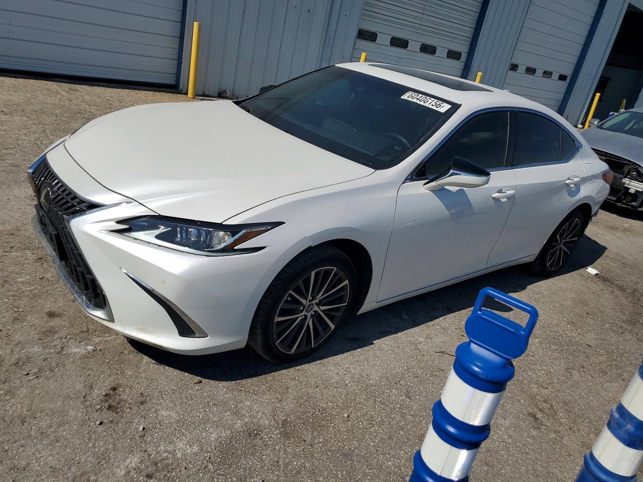 2022 Lexus ES 250, VIN 58AD11D14NU009361 — Rear end