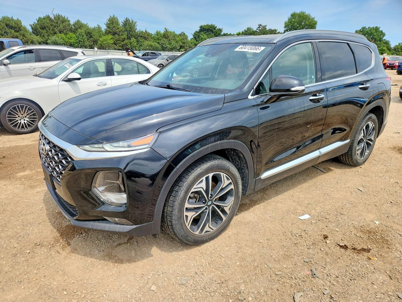 2020 Hyundai Santa Fe SEL, VIN 5NMS3CAA8LH169860 — Зад