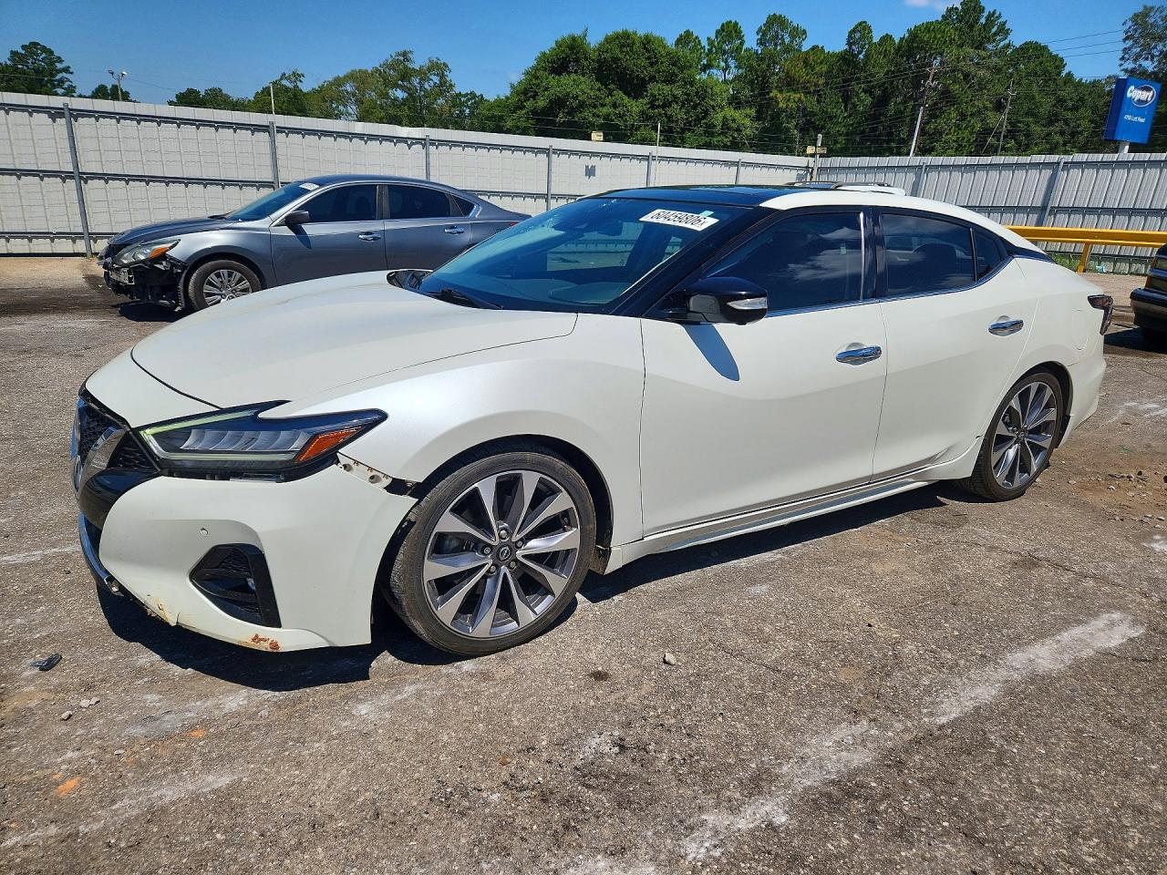 2023 Nissan Maxima Platinum, VIN 1N4AA6FV1PC503655 — Перед