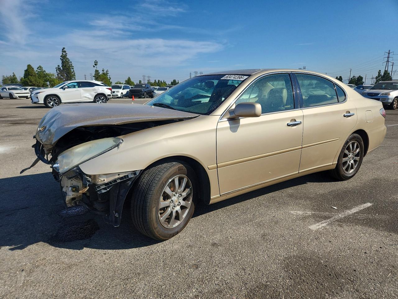 2003 Lexus ES 300, VIN JTHBF30G636011297 — Front end