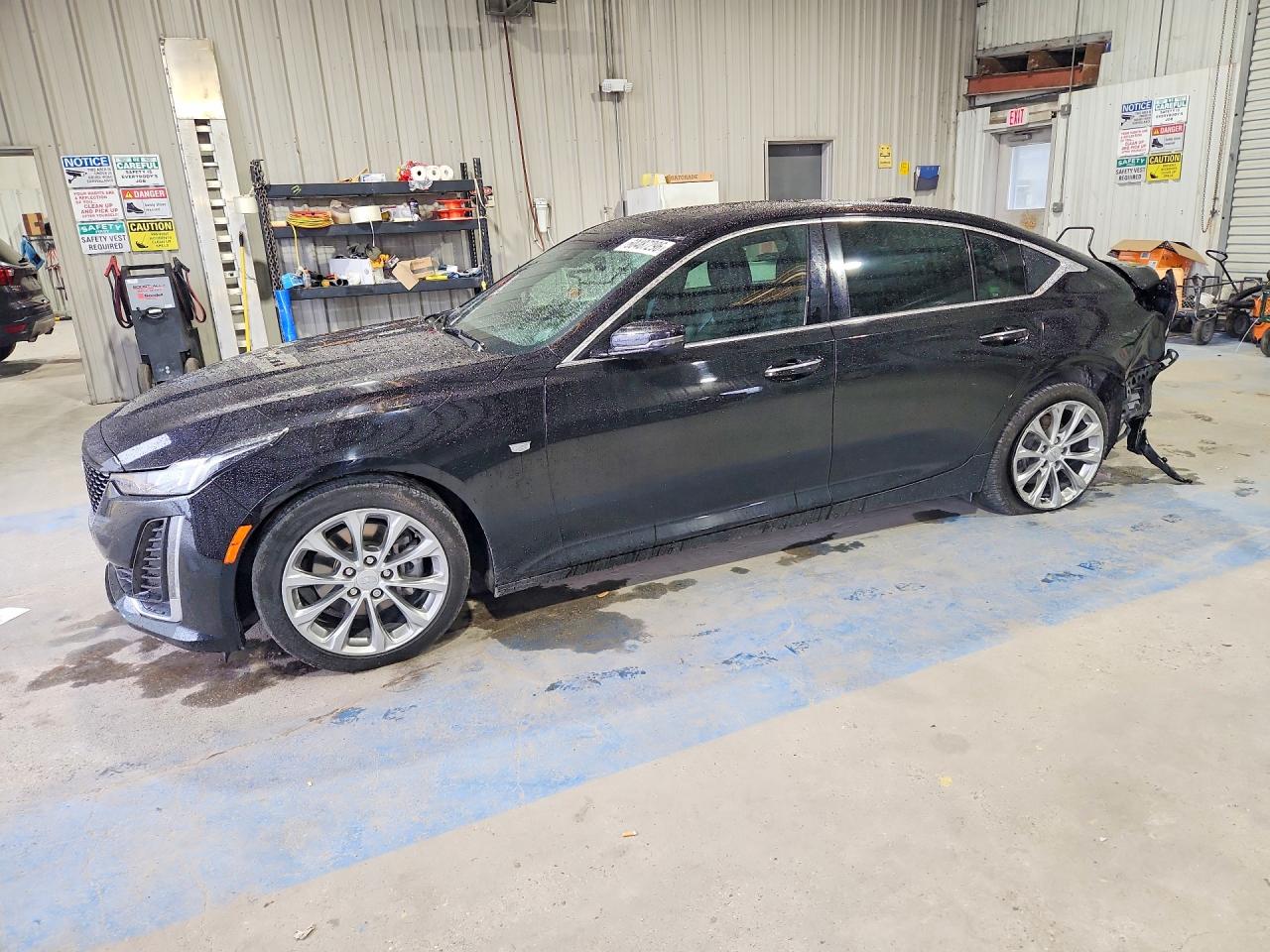 2021 Cadillac CT5 Premium Luxury, VIN 1G6DN5RK6M0132922 — Rear end