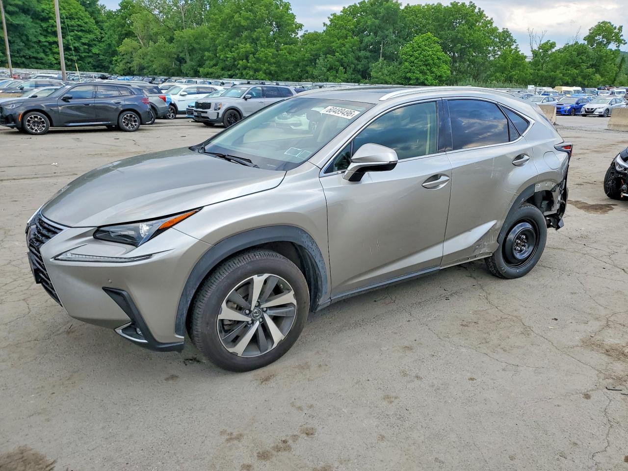 2020 Lexus NX 300, VIN JTJGARDZXL2234080 — Зад