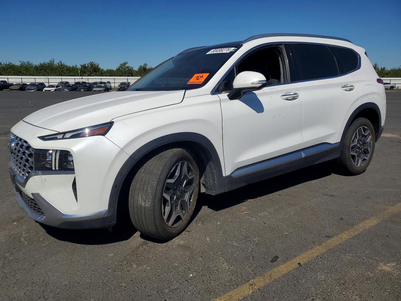 2021 Hyundai Santa Fe Limited, VIN 5NMS44ALXMH324415 — Side