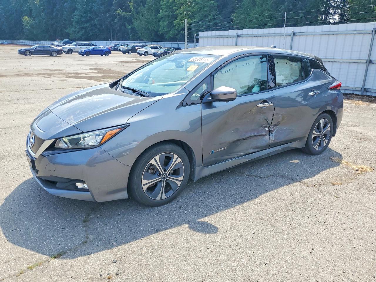 2018 Nissan LEAF SL, VIN 1N4AZ1CP6JC302746 — Бок