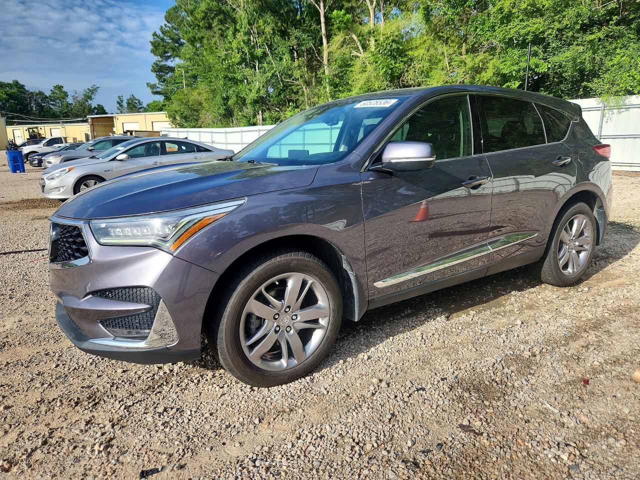 2019 Acura RDX Advance, VIN 5J8TC1H73KL003781 — Water / flood
